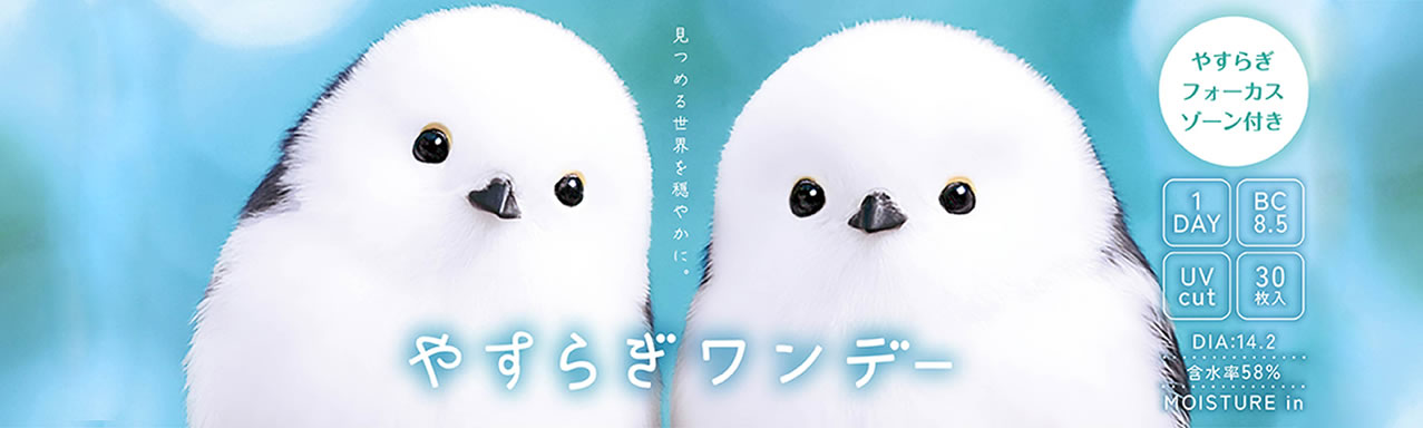 やすらぎワンデー